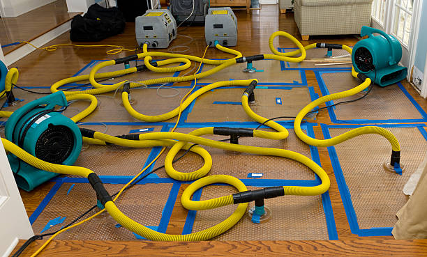 Professional Water Damage Repair technician working in Carson City, MI