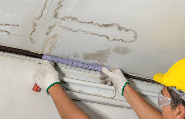 Affordable Water Damage Repair solutions in Carson City, MI